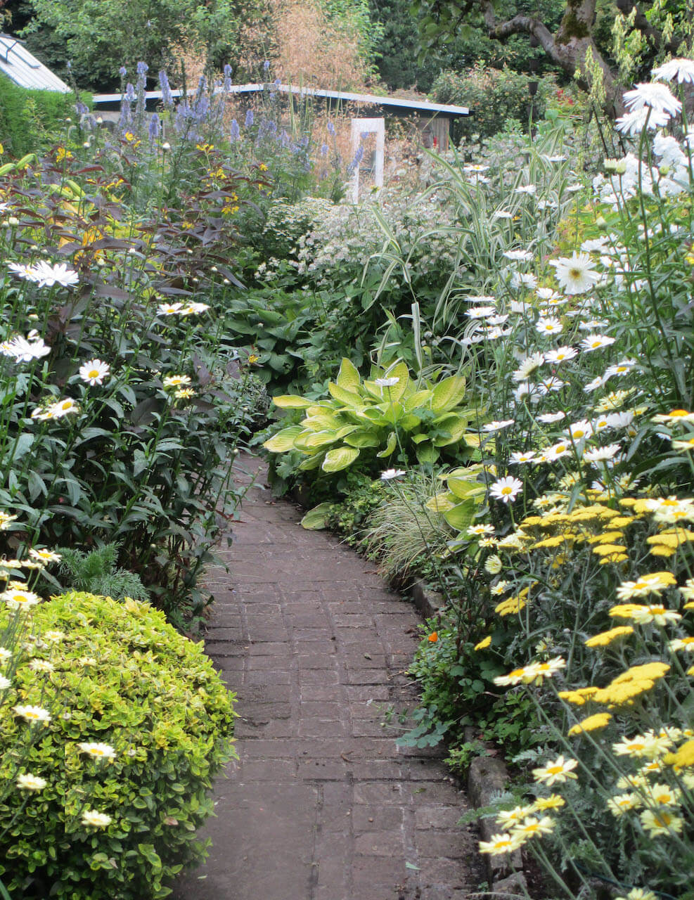 Gravel Walk Garden