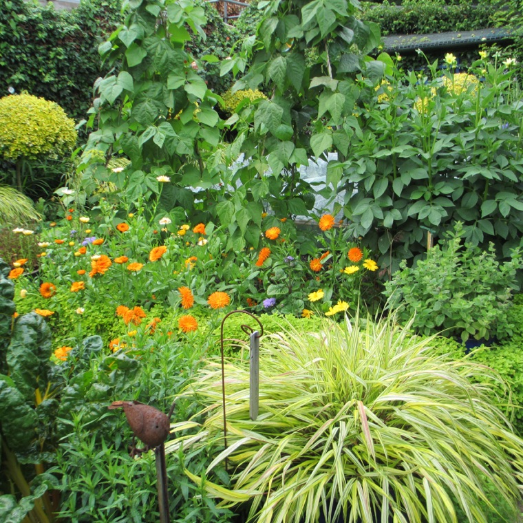 Kitchen Garden