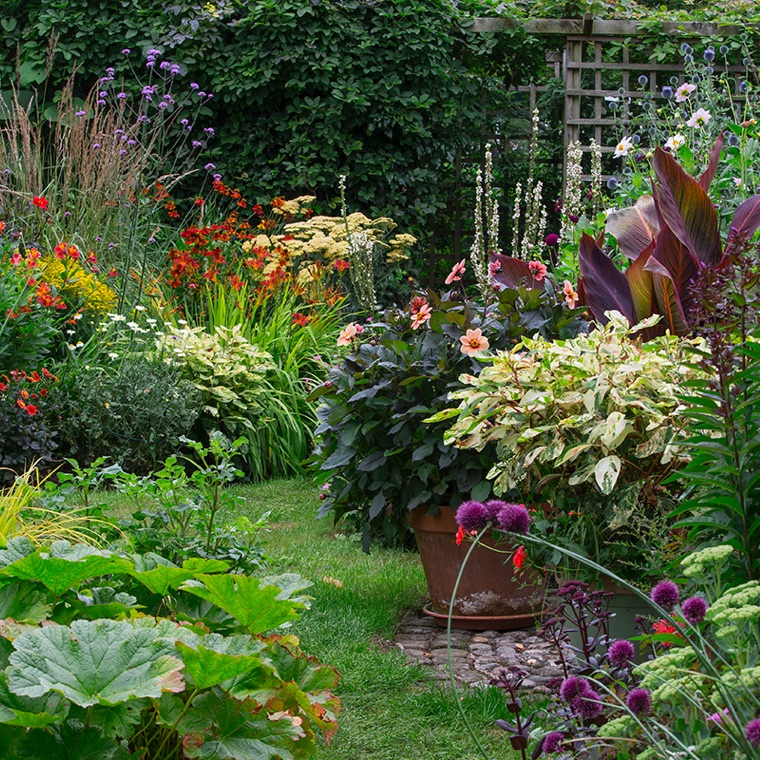 Pond Garden