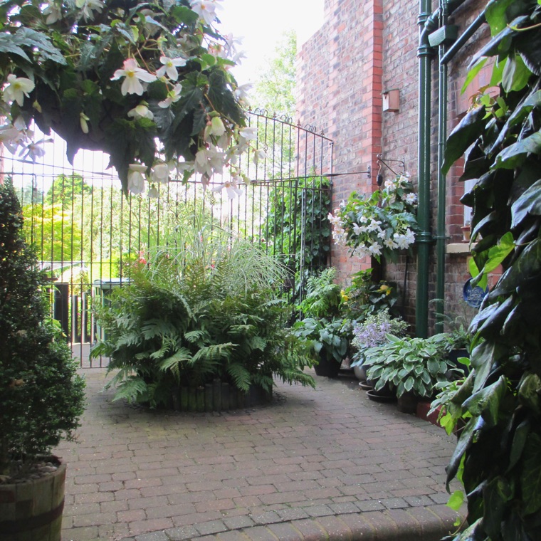 Courtyard Garden