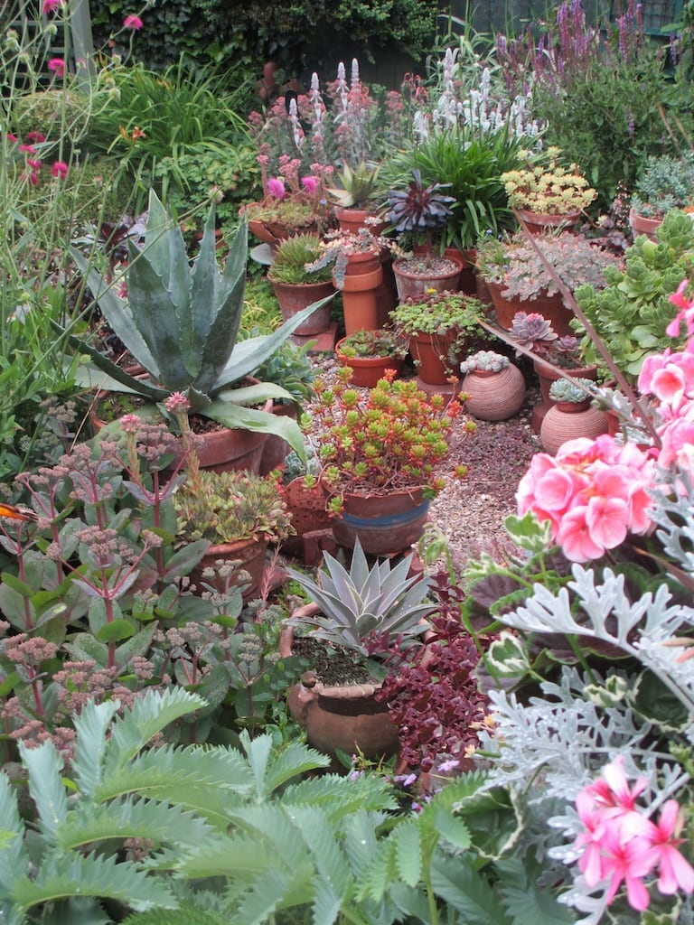 Mediterranean Garden