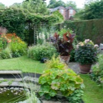 Pond Garden