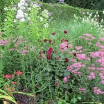 Pond Garden